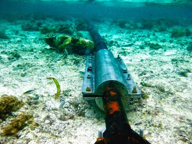 Grupo vai financiar cabo submarino entre Nova York e São Paulo -  TudoCelular.com