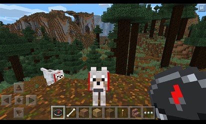 Microsoft age e Minecraft finalmente está disponível para Windows Phone 