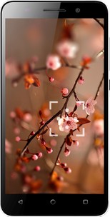Honor 4X