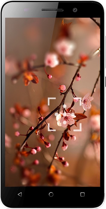 Honor 4X