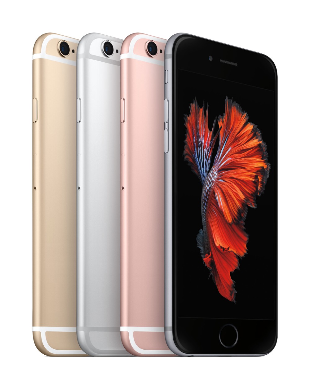 スマートフォン本体 iPhone 6s Rose Gold iPhone 6s Rose Gold 64 GB SIMフリー ムスビー｜iPhone 6s☆Rose Gold☆