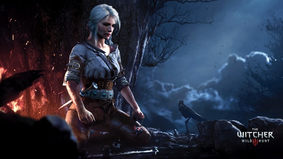EXCLUSIVO: Brasileira responsável pela tradução de The Witcher III: Wild  Hunt abre o jogo sobre seu trabalho - Drops de Jogos