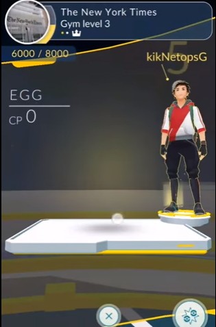 Batalhar em ginásio  Coisas de pokemon, Pokemon, Pokemon pokedex