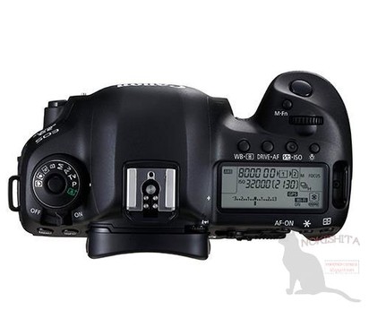 Canon EOS 5D Mark IV é vazada com sensor de 30MP e ISO máximo de