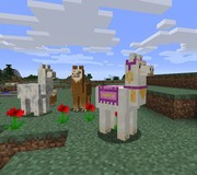 Minecraft foi vendido pela Microsoft na iniciativa Mojang