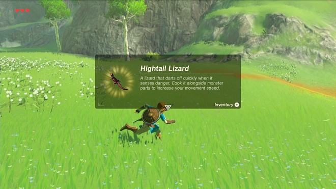 Hightail Lizard Zelda