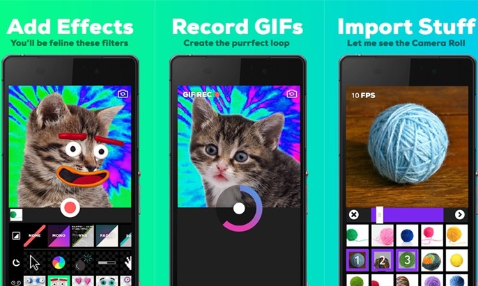 Filtro do Snapchat transforma pets em desenhos; saiba como usar