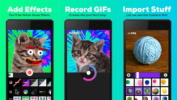 Crie GIFs divertidos no iMessage com o Tumblr App - Aplicativos Da