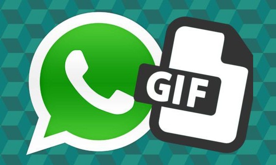 Como Fazer um GIF dos Seus Vídeos para Enviar no Whatsapp