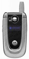 Motorola V600