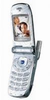 Samsung SGH-Z100