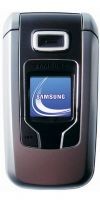 Samsung SGH-Z310
