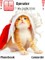 Christmas Kitty
