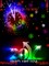 2011 Rainbow 
