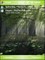 Wood Light QVGA