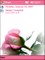 Pink Flower