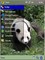 Panda VGA
