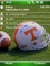 University of Tennessee
