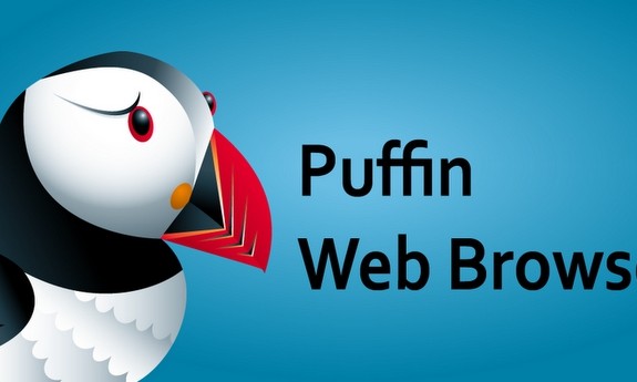 Puffin Flash Store