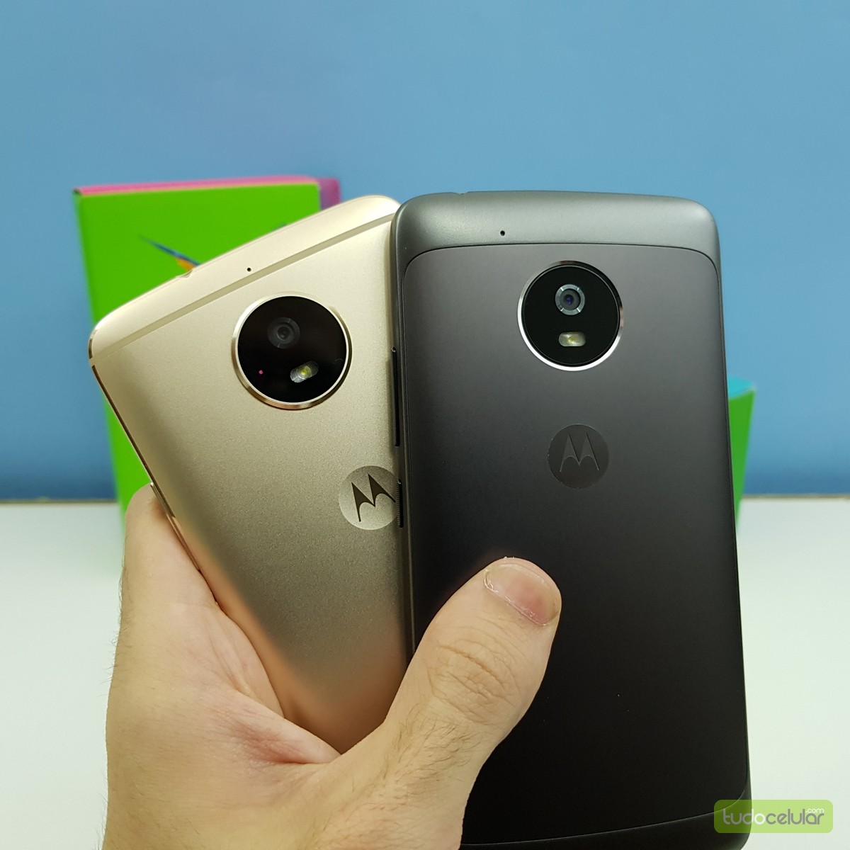 Moto E4 Plus vs Moto G5: conheça os celulares mais em conta da Motorola