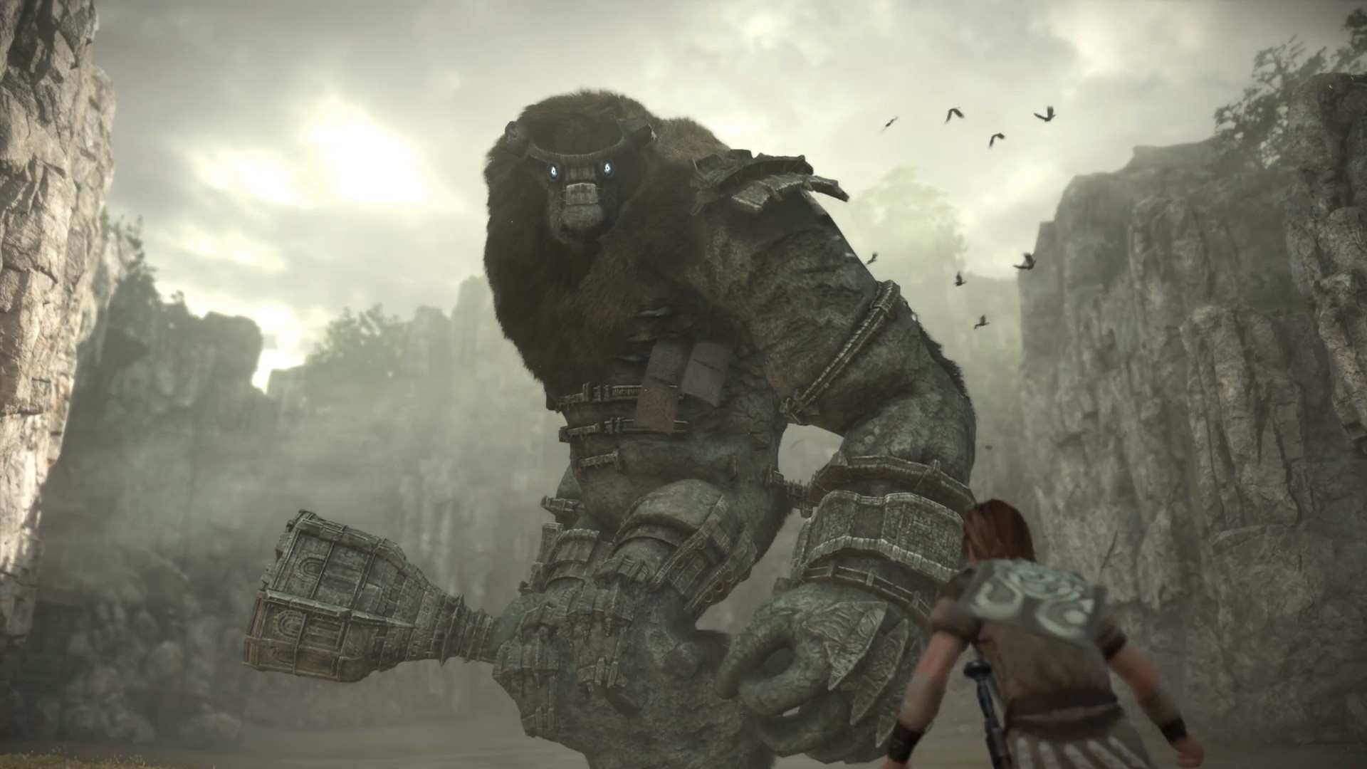 Video Game Shadow Of The Colossus HD Wallpaper