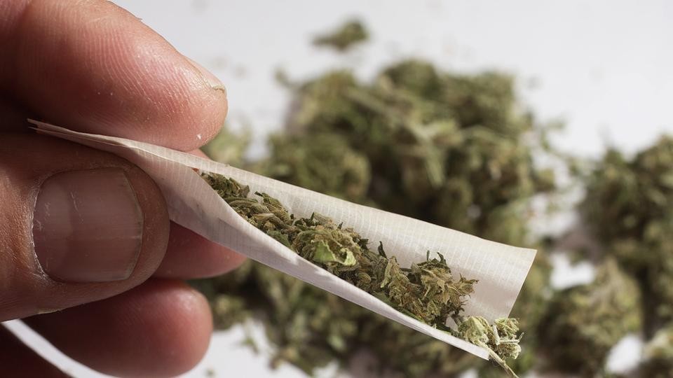 Cannabis pode estar relacionada com aumento de casos de depressão em  adultos, diz estudo - TudoCelular.com