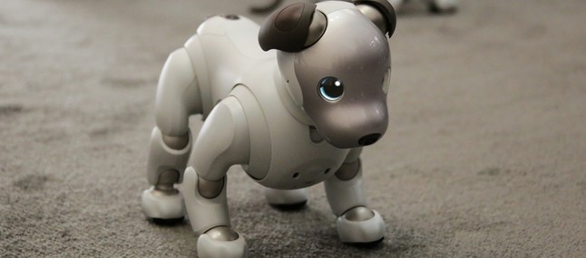 Cachorro Robo Da Sony