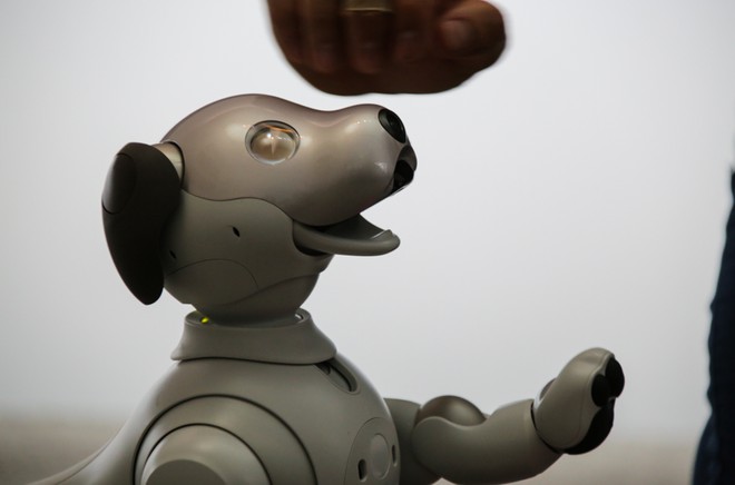 Aibo Robo Cachorro Da Sony Desembarca Nos Eua Custando Uma