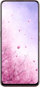 vivo S1