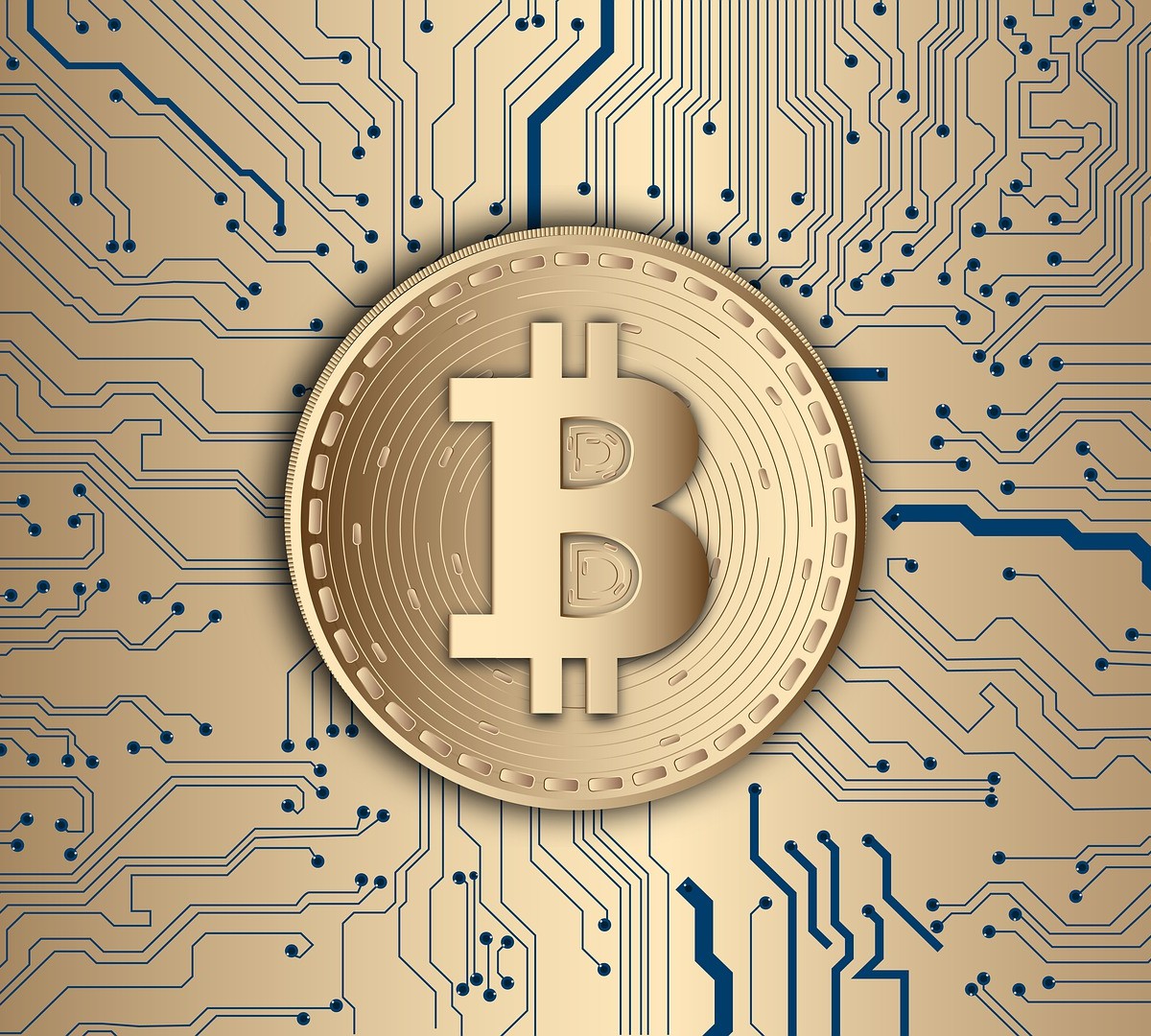 Família Bitcoin: grupo vende tudo e esconde fortuna em carteiras digitais  em 4 continentes - Tudocelular.com