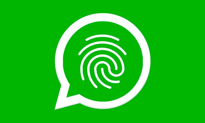 Como instalar o WhatsApp Business no iPhone - Olhar Digital