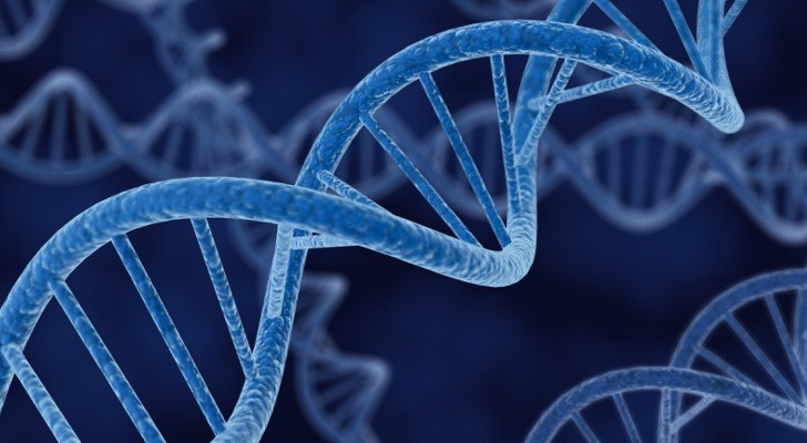 Pesquisa aponta que infeco por Covid-19 pode ser facilitada pelo DNA