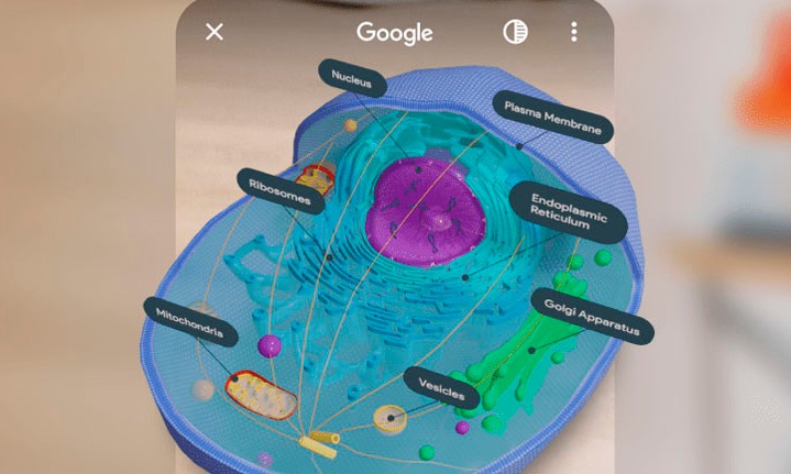 Cinco modelos em 3D escondidos na pesquisa do Google