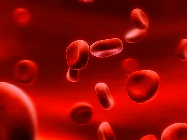 Scientists create synthetic red globules with characteristics ...