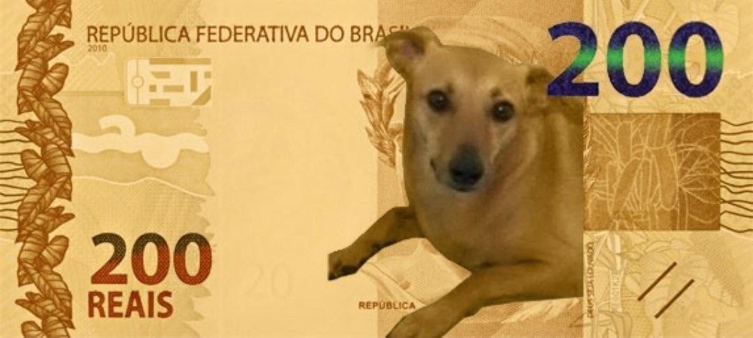 Petição para colocar a imagem do vira-lata caramelo na nota de R$ 200 gera  frutos - Tudocelular.com