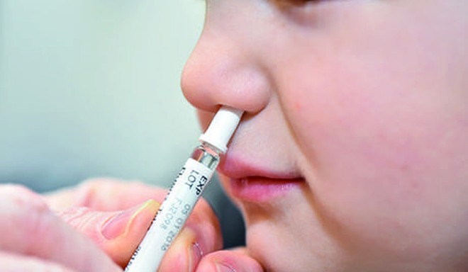 Estudo aponta que vacina aplicada pelo nariz é mais eficaz - Entenda
