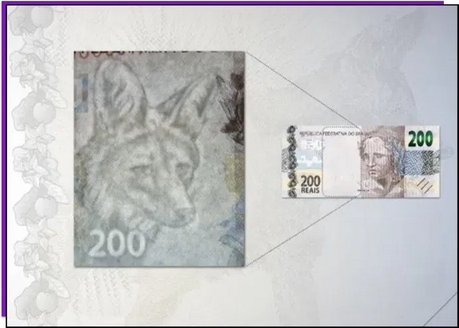 Nova cédula de R$ 200 é lançada; veja como identificar se uma nota é falsa 29