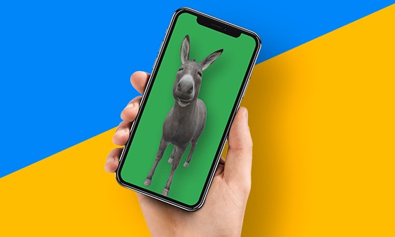 Aberto até de Madrugada: Google facilita gravações dos seus animais em  realidade aumentada