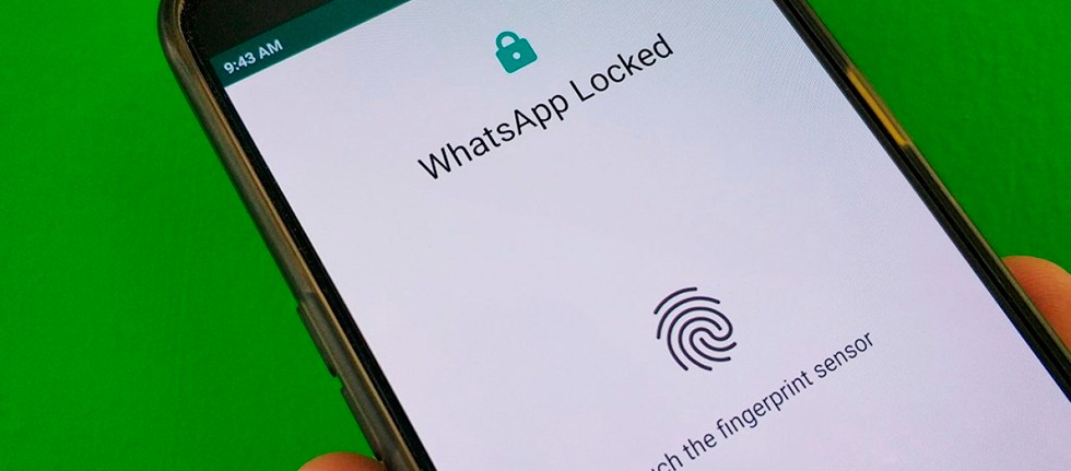 Nova verso beta do WhatsApp permite backups criptografados na nuvem