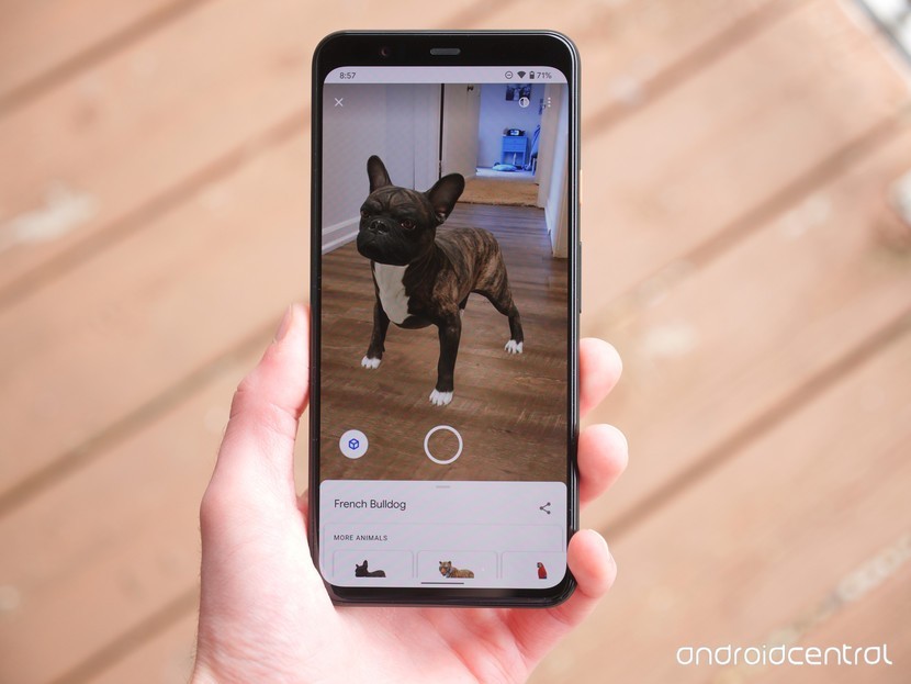 Google coloca animais em realidade aumentada na busca via celular –  Tecnoblog