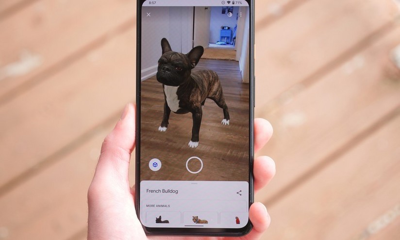 Google acrescenta 50 animais 3D às opções de realidade aumentada - Casa  Vogue