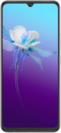 vivo V20 2021