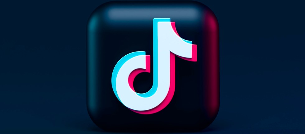 jogo da cobrinha no google live｜Pesquisa do TikTok