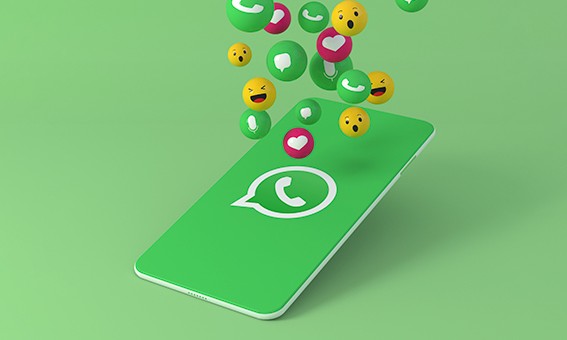 Como transformar gifs e vídeos em figurinhas animadas para WhatsApp - Novo  App beta