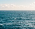 Oceanos podem entrar em colapso e devastar humanidade em 25 anos, afirmam pesquisadores