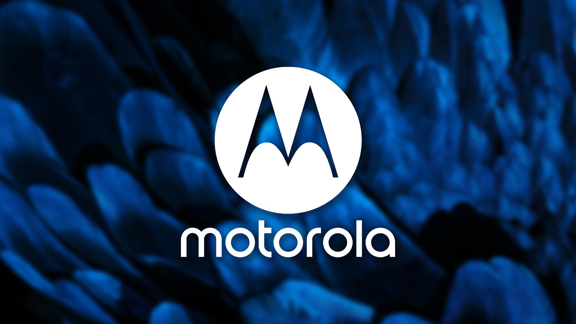 Camera under the screen: Motorola may launch a cell phone with this technology in early 2022