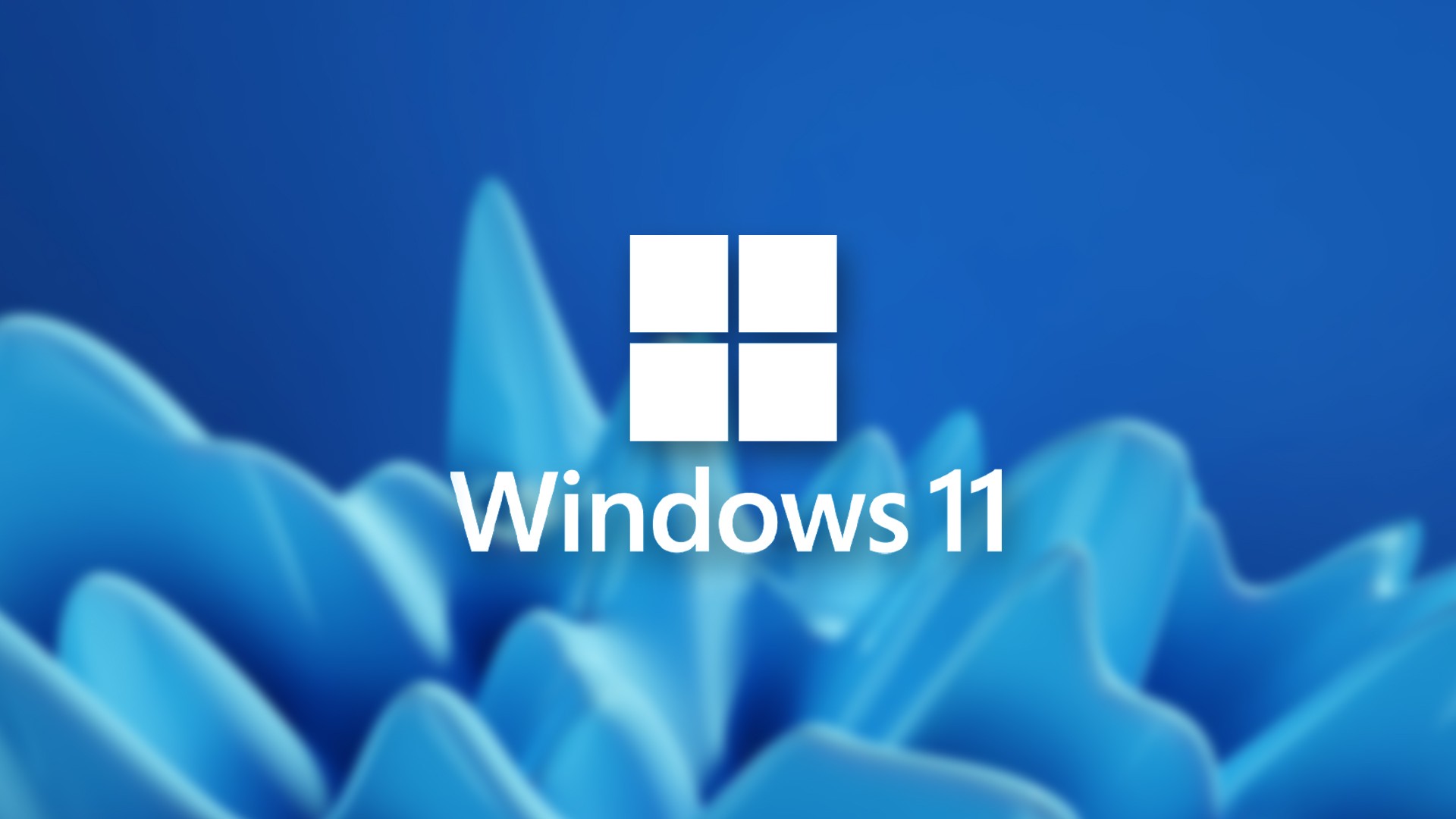 Windows 11se что это