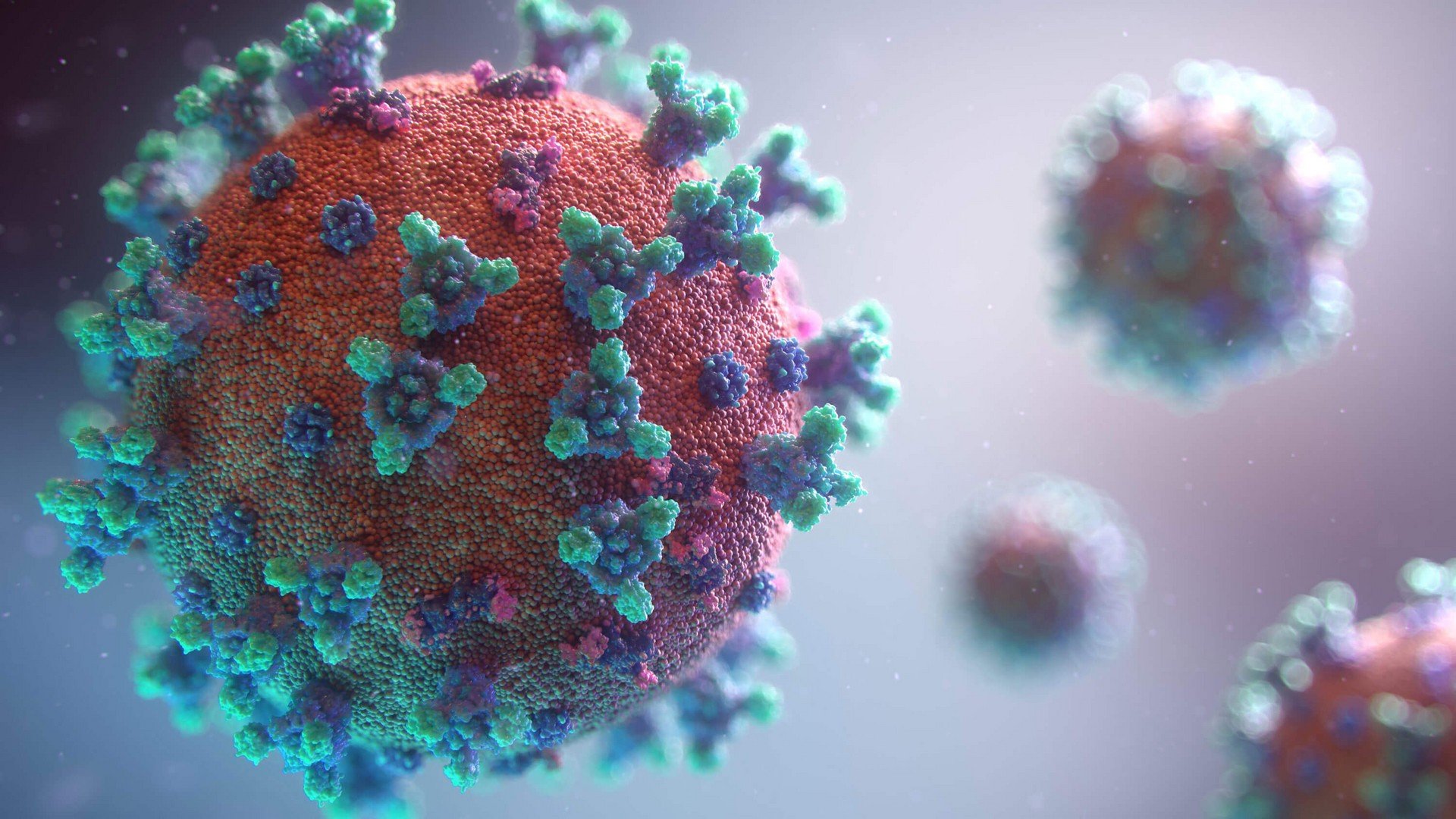 Coronavirus: WHO warns of increased Ômicron subvariant cases thumbnail