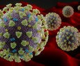 Por que cobrimos a pandemia do novo coronav