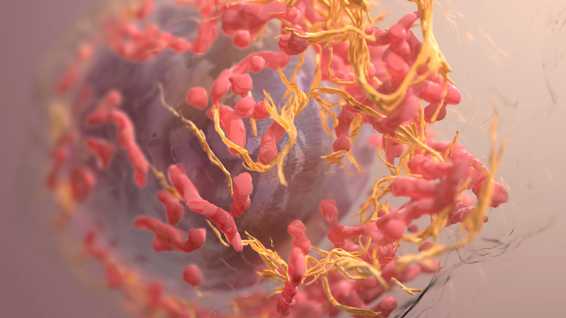 Pesquisadores descobrem que colgeno tipo III pode adormecer clulas do cncer
